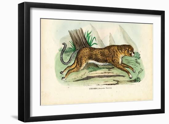 Gepard, 1863-79-Raimundo Petraroja-Framed Giclee Print