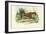 Gepard, 1863-79-Raimundo Petraroja-Framed Giclee Print