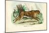 Gepard, 1863-79-Raimundo Petraroja-Mounted Giclee Print