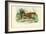 Gepard, 1863-79-Raimundo Petraroja-Framed Giclee Print