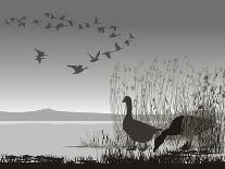 Wild Geese, Delayed Migrating-Gepard-Premium Giclee Print