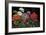 Geranios en el Jardin-J^ Ripoll-Framed Giclee Print