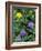 Geranium, Cinquefoil, and Juniper, Denali National Park, Alaska, USA-Hugh Rose-Framed Photographic Print