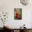 Geranium Flowers (Pelargonium Sp.)-Chris Martin-Bahr-Framed Premier Image Canvas displayed on a wall