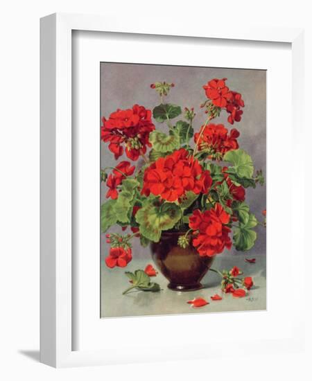 Geranium in an Earthenware Vase-Albert Williams-Framed Giclee Print