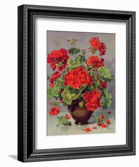 Geranium in an Earthenware Vase-Albert Williams-Framed Giclee Print