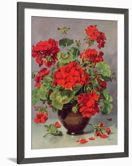 Geranium in an Earthenware Vase-Albert Williams-Framed Giclee Print