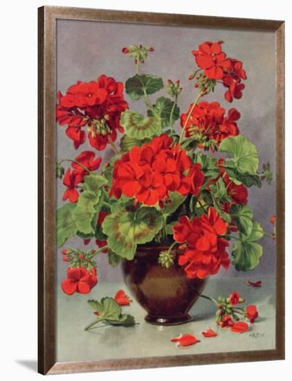 Geranium in an Earthenware Vase-Albert Williams-Framed Giclee Print