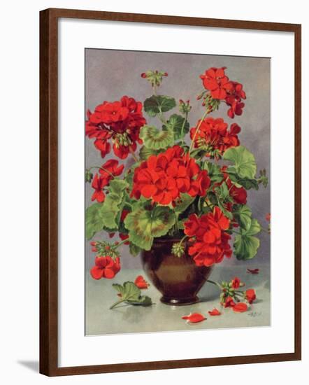 Geranium in an Earthenware Vase-Albert Williams-Framed Premium Giclee Print