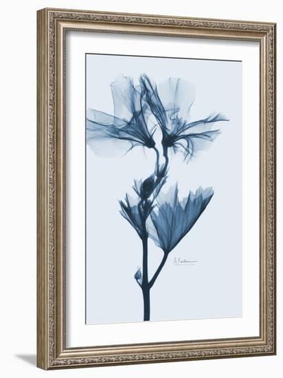 Geranium in Blue-Albert Koetsier-Framed Premium Giclee Print