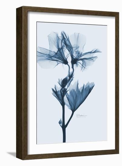 Geranium in Blue-Albert Koetsier-Framed Premium Giclee Print