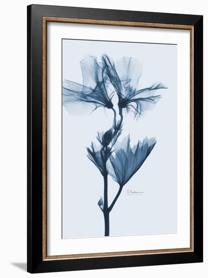 Geranium in Blue-Albert Koetsier-Framed Premium Giclee Print