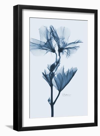 Geranium in Blue-Albert Koetsier-Framed Premium Giclee Print