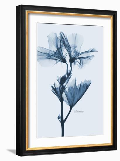 Geranium in Blue-Albert Koetsier-Framed Premium Giclee Print