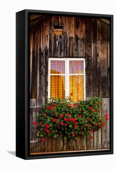 Geranium in Front of Window-By-Framed Premier Image Canvas