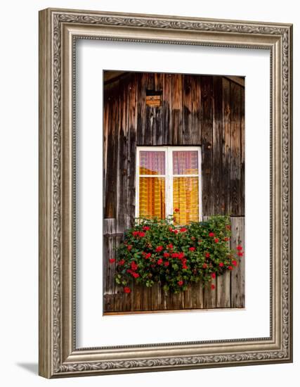 Geranium in Front of Window-By-Framed Photographic Print