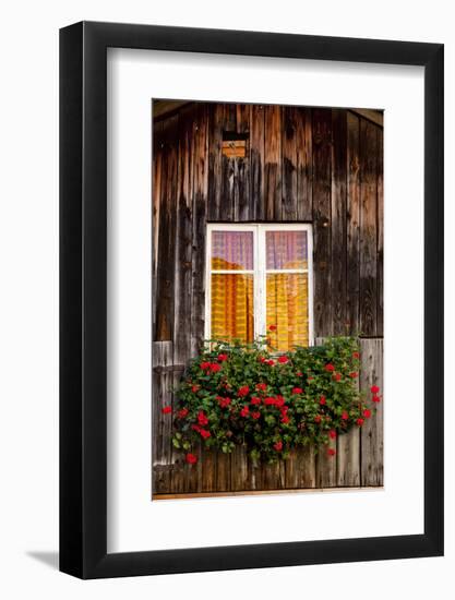 Geranium in Front of Window-By-Framed Photographic Print