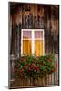 Geranium in Front of Window-By-Mounted Photographic Print