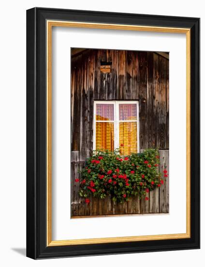 Geranium in Front of Window-By-Framed Photographic Print