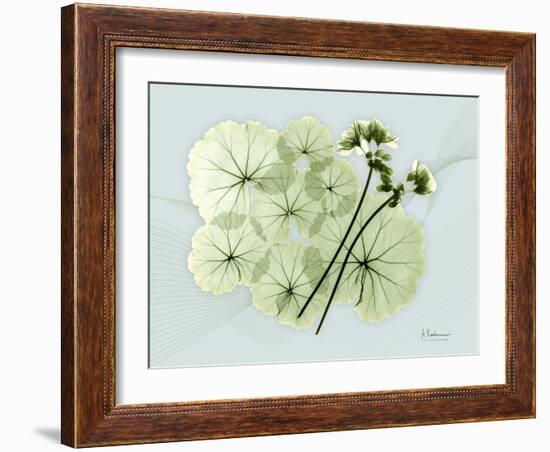 Geranium L48-Albert Koetsier-Framed Art Print