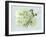 Geranium L48-Albert Koetsier-Framed Art Print