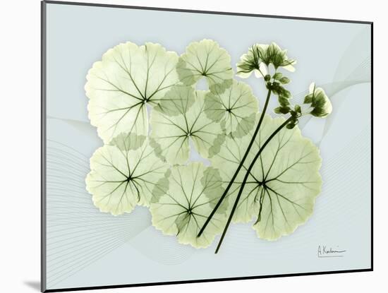 Geranium L48-Albert Koetsier-Mounted Art Print