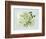 Geranium L48-Albert Koetsier-Framed Premium Giclee Print