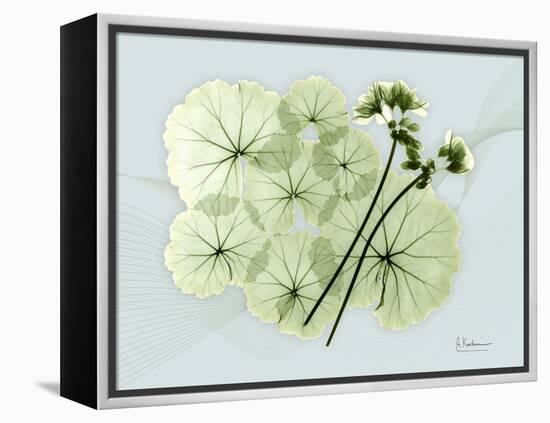 Geranium L48-Albert Koetsier-Framed Stretched Canvas