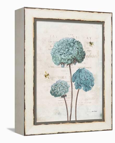 Geranium Study I-Katie Pertiet-Framed Stretched Canvas