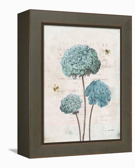 Geranium Study I-Katie Pertiet-Framed Stretched Canvas