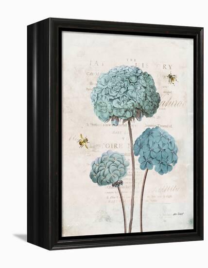 Geranium Study I-Katie Pertiet-Framed Stretched Canvas