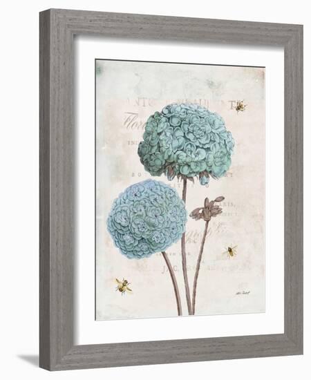 Geranium Study II-Katie Pertiet-Framed Art Print