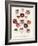 Geranium Varieties-null-Framed Giclee Print