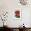 Geranium-null-Framed Premium Giclee Print displayed on a wall