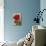 Geranium-null-Mounted Art Print displayed on a wall