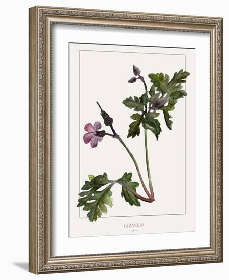 Geranium-Annika John-Framed Giclee Print