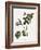 Geranium-Annika John-Framed Giclee Print