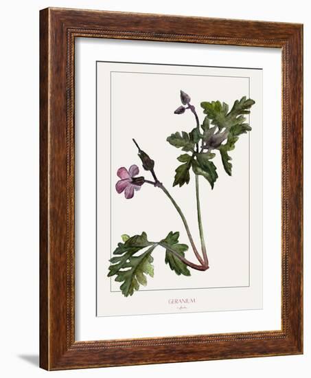 Geranium-Annika John-Framed Giclee Print