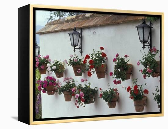 Geraniums along White Wall of Palacio de Mondragon, Ronda, Spain-Merrill Images-Framed Premier Image Canvas