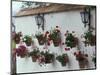 Geraniums along White Wall of Palacio de Mondragon, Ronda, Spain-Merrill Images-Mounted Photographic Print