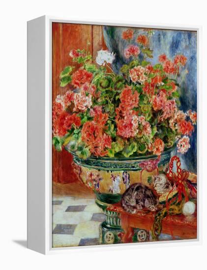 Geraniums and Cats, 1881-Pierre-Auguste Renoir-Framed Premier Image Canvas