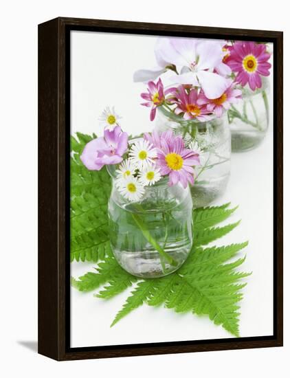 Geraniums and Chrysanthemums in Jars with Fern-Linda Burgess-Framed Premier Image Canvas