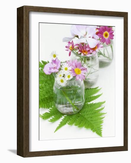 Geraniums and Chrysanthemums in Jars with Fern-Linda Burgess-Framed Photographic Print