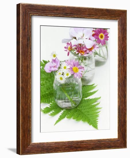 Geraniums and Chrysanthemums in Jars with Fern-Linda Burgess-Framed Photographic Print