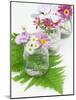 Geraniums and Chrysanthemums in Jars with Fern-Linda Burgess-Mounted Photographic Print