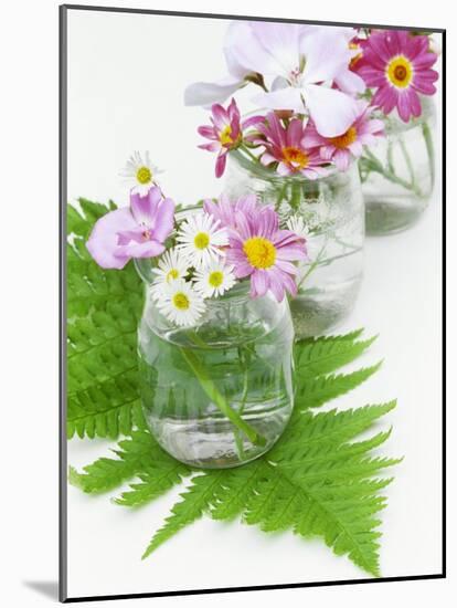 Geraniums and Chrysanthemums in Jars with Fern-Linda Burgess-Mounted Photographic Print