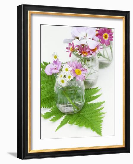 Geraniums and Chrysanthemums in Jars with Fern-Linda Burgess-Framed Photographic Print