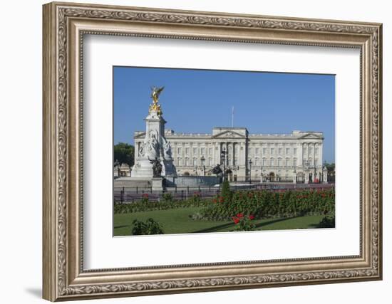 Geraniums at Buckingham Palace, London, England, United Kingdom, Europe-James Emmerson-Framed Photographic Print