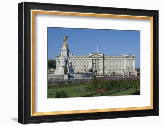 Geraniums at Buckingham Palace, London, England, United Kingdom, Europe-James Emmerson-Framed Photographic Print