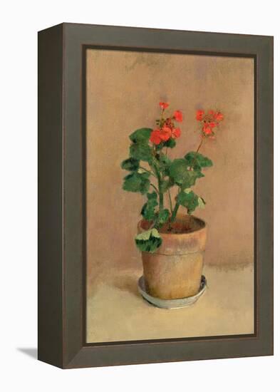 Geraniums in a Pot, c.1905-Odilon Redon-Framed Premier Image Canvas